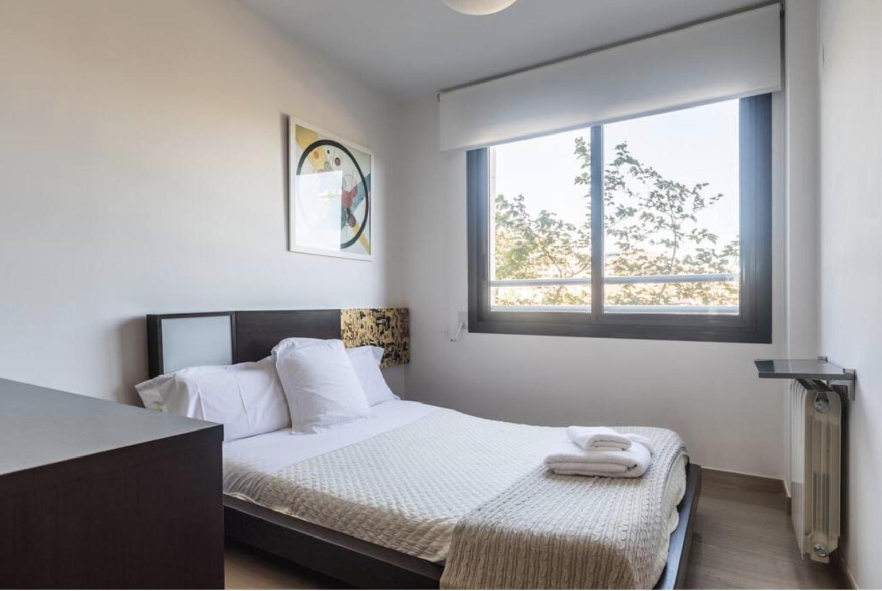 Art And Sciences View Luxury Apartment Valencia Eksteriør billede